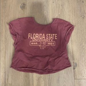 Florida State Crop Top